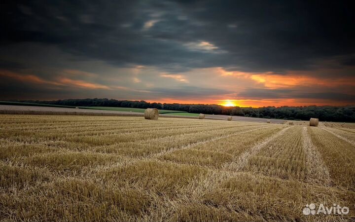 Минеральные удобрения всех видов, любой объем