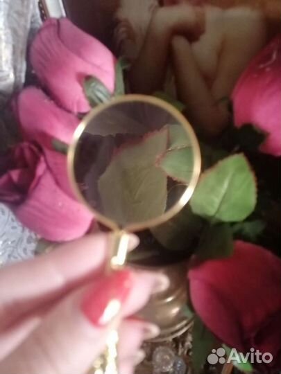 Лупа дамская