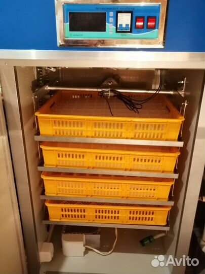 Инкубатор + выводной шкаф MJA/N-4 б/у