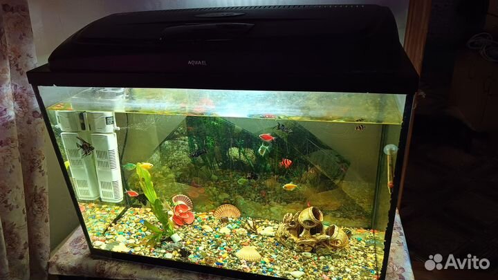 Аквариум 150 литров со всем содержимым