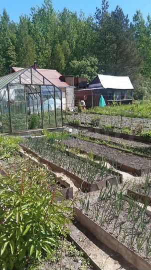 Дом 62 м² на участке 7,8 сот.