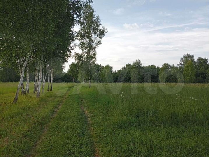 Участок 15 сот. (ИЖС)