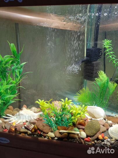 Аквариум