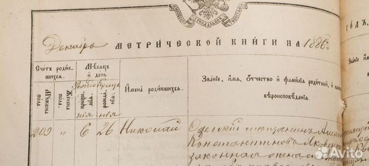 История семьи, генеалогия