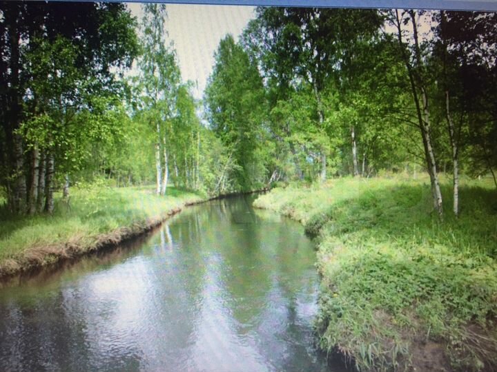 Участок 4 га (СНТ, ДНП)