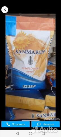 Семена подсолнечника под экспресс