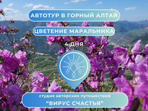 Тур: Цветение маральника на Алтае, Чуйский тракт+К