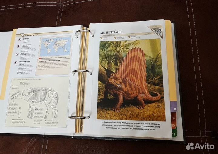 Книги о животных