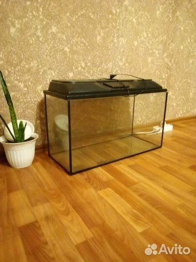 Аквариум