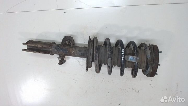 Амортизатор подвески BMW X5 E53, 2002