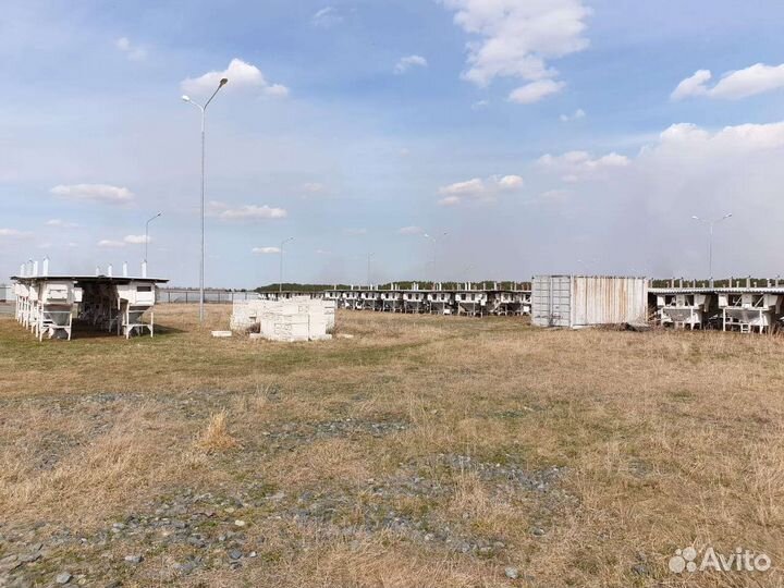 Продам готовый бизнес производство кроличья ферма