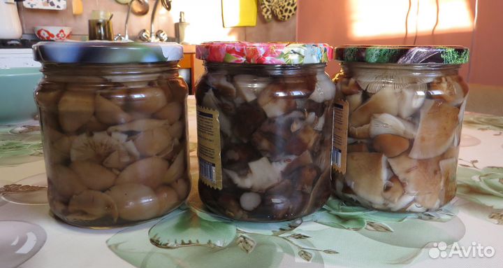 Заготовки домашние: грибы, щавель