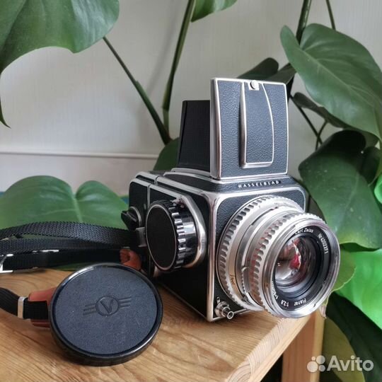 Hasselblad 500C + Carl Zeiss Planar 80 2.8