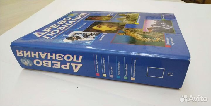 Папка на кольцах А4 скоросшиватель Древо познания