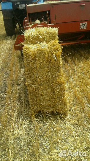 Солома пшеничная
