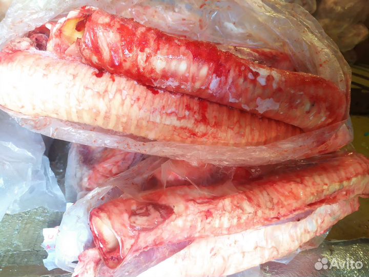 Трахеи говяжьи для собак