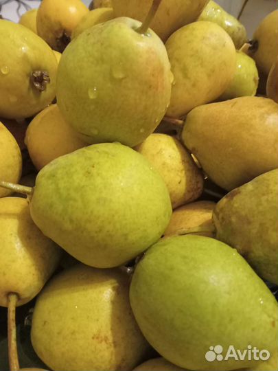 Груши яблоки