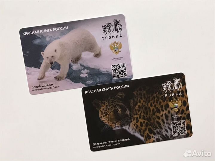 Карта метро Тройка Красная книга