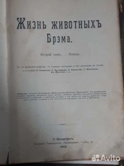 Жизнь животных Брэма 1902 г