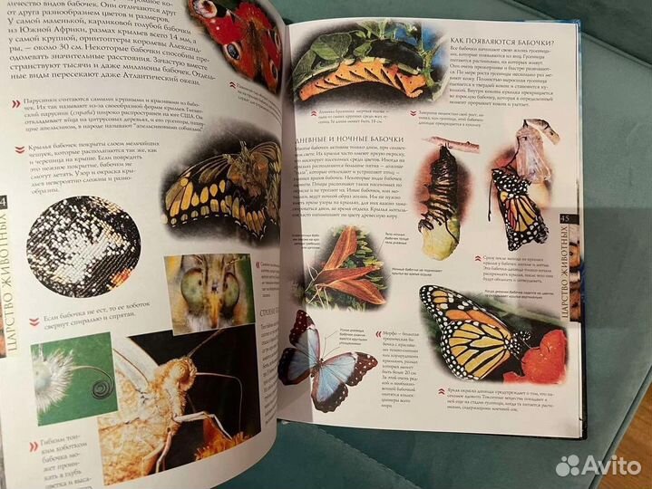 Энциклопедия Живая природа