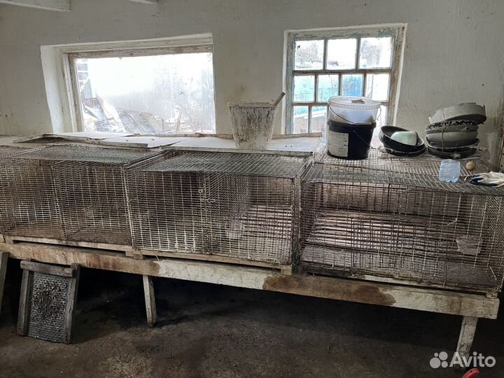 Клетки для кроликов
