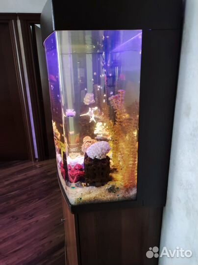 Аквариум с тумбой 500 литров