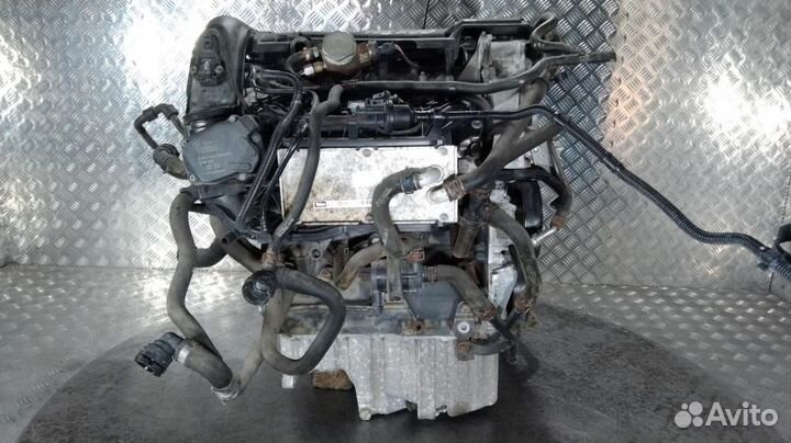 Двигатель(двс) Volkswagen Golf VI (2008–2012)