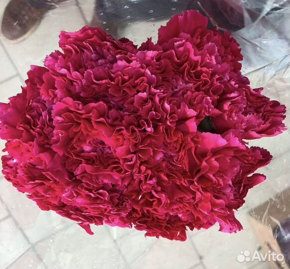 Гвоздика, цветы, готовые букеты