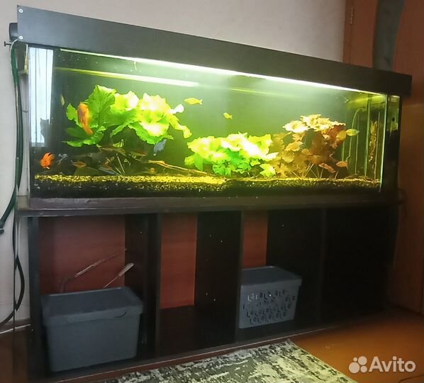 Аквариум с тумбой 450 литров