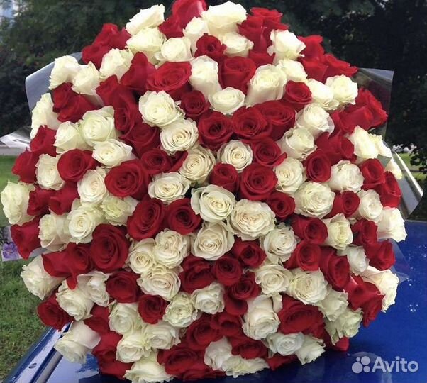 Высокие премиум розы Эквадор 70 90 см Высокие