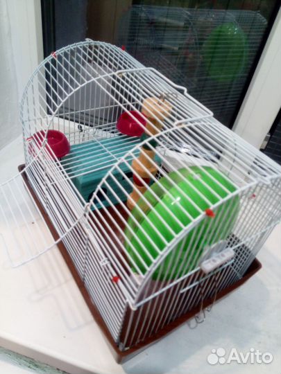 Клетка для мелких грызунов