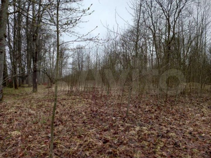 Участок 4,28 га (промназначения)