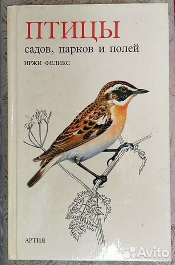 Книга о птицах