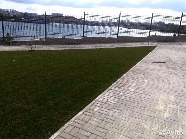 Рулонный газон