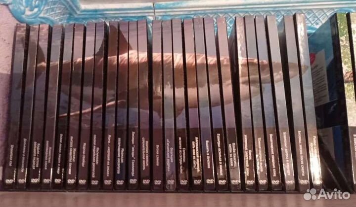 Диски коллекционные морские животные