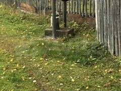 Дом 70 м² на участке 20 сот.