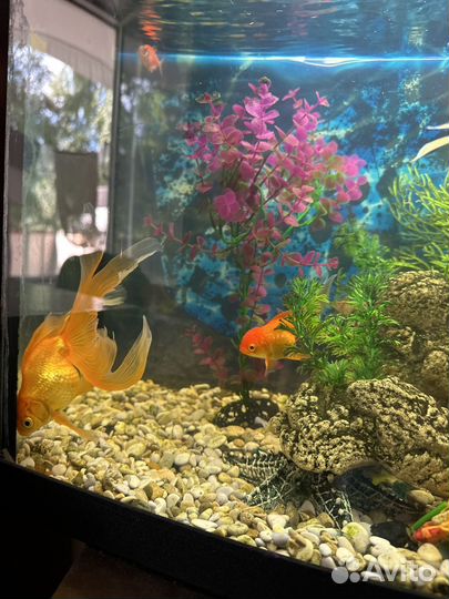 Украшение для аквариума