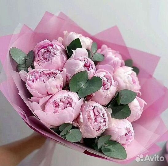 Пионы Розы Доставка