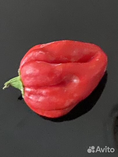 Перец острый