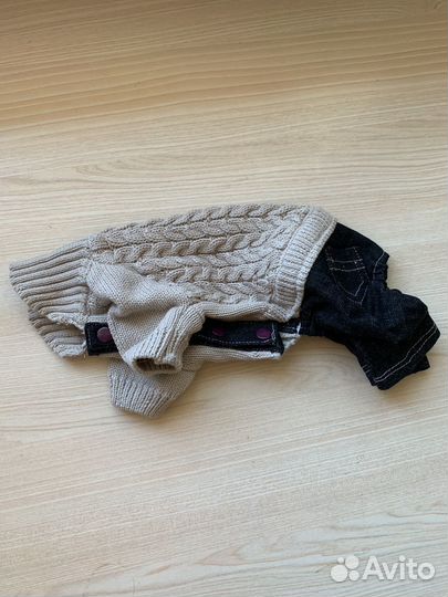 Одежда для собак мелких пород