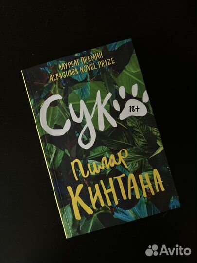 Пилар Кинтана — С*ка