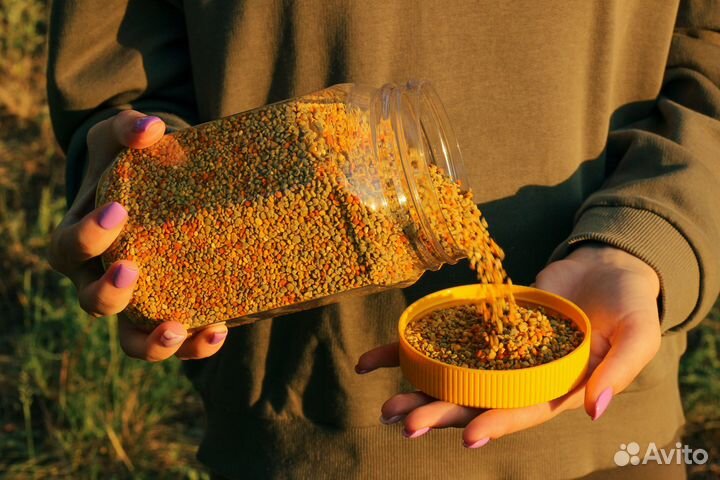 Пыльца пчелиная