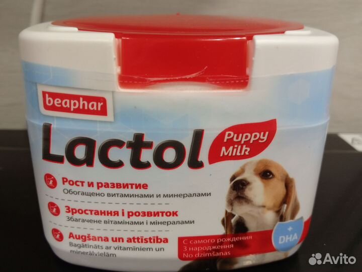 Сучье молоко