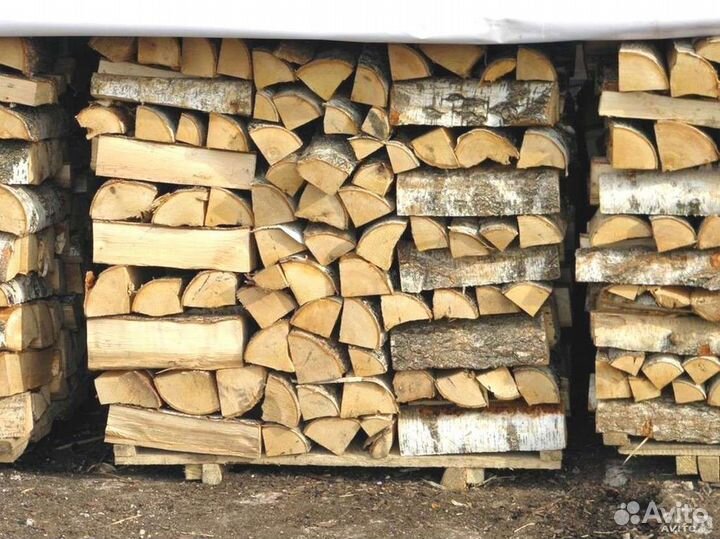 Дрова сухие березовые