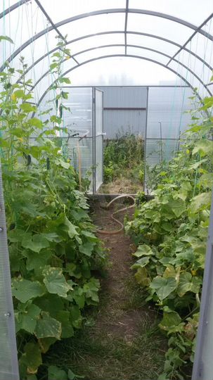 Дом 37,5 м² на участке 24 сот.