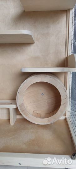 Витрина для шиншилл