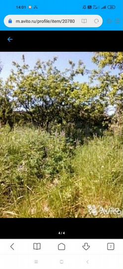 Участок 24 сот. (СНТ, ДНП)