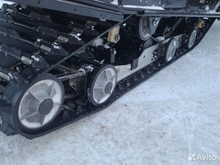 Рысь 500+