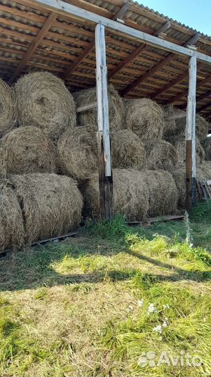 Сено луговое в рулонах