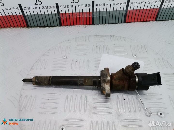 Форсунка Ford Focus 2 2006 1477146